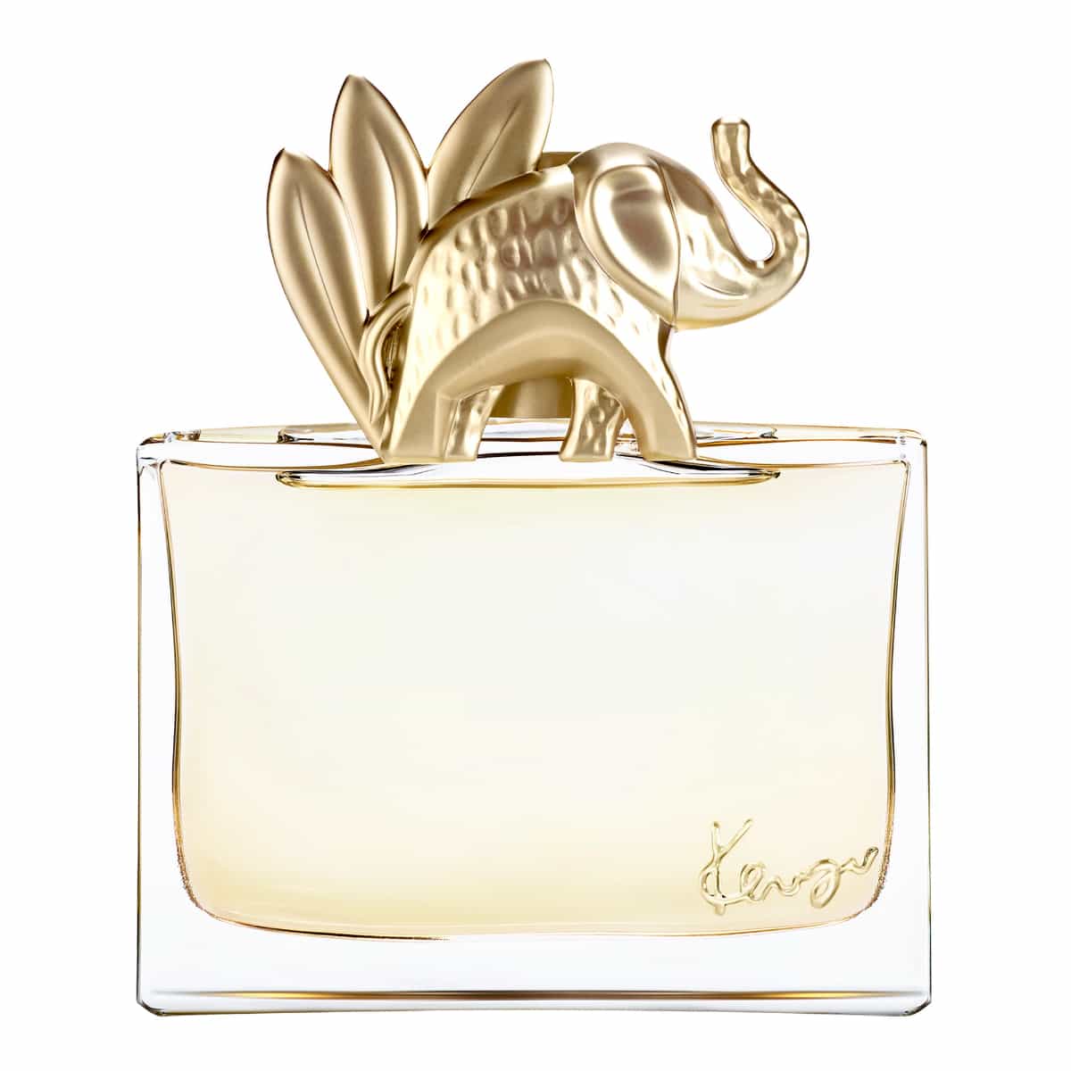 Eau de Parfum Kenzo Jungle - Kenzo 