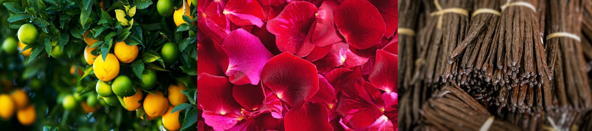 concentrations de parfum